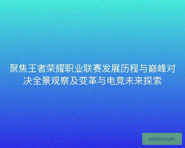 聚焦王者荣耀职业联赛发展历程与巅峰对决全景观察及变革与电竞未来探索