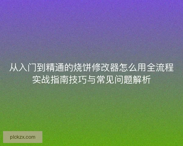 从入门到精通的烧饼修改器怎么用全流程实战指南技巧与常见问题解析