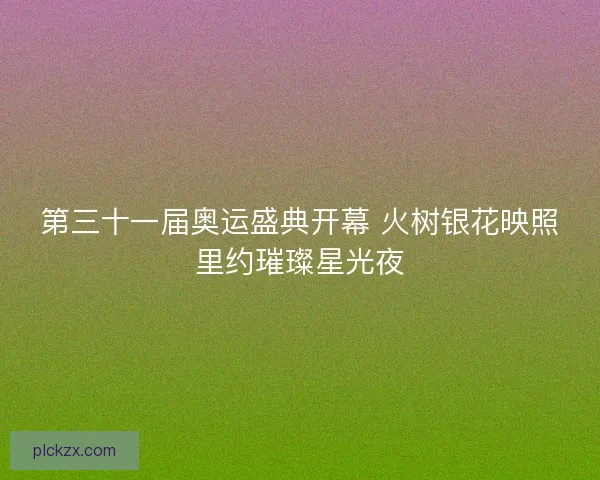 第三十一届奥运盛典开幕 火树银花映照里约璀璨星光夜