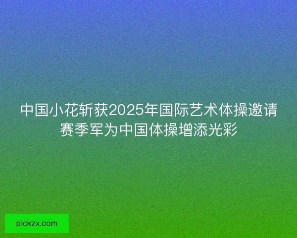 中国小花斩获2025年国际艺术体操邀请赛季军为中国体操增添光彩
